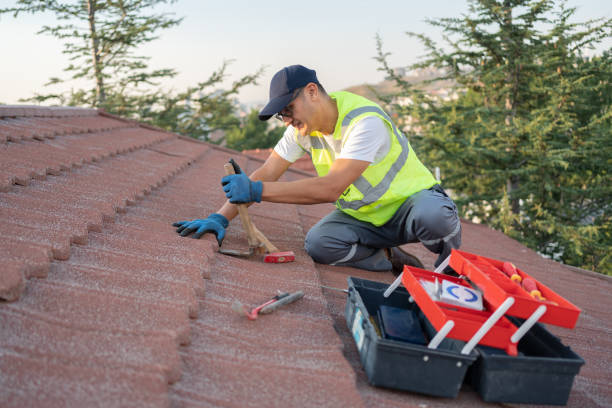 Best Storm Damage Roof Repair  in Glen Raven, NC